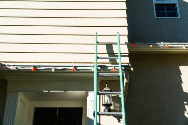 Best Residential Vinyl Siding Installation  in Lakewood, IL